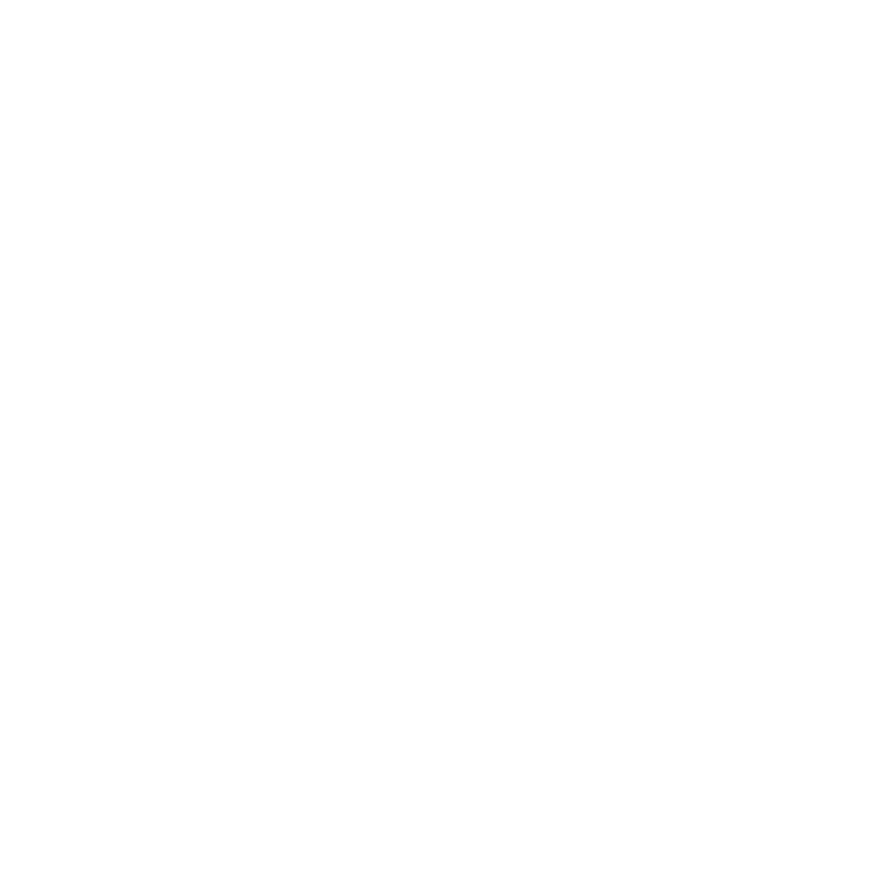 Broadcom Software Knight — Web Protection